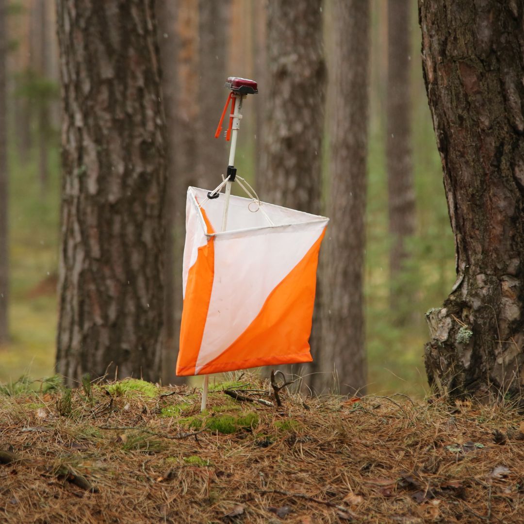 Lampion - niezbędny w orienteeringu (Lavaredo.pl)