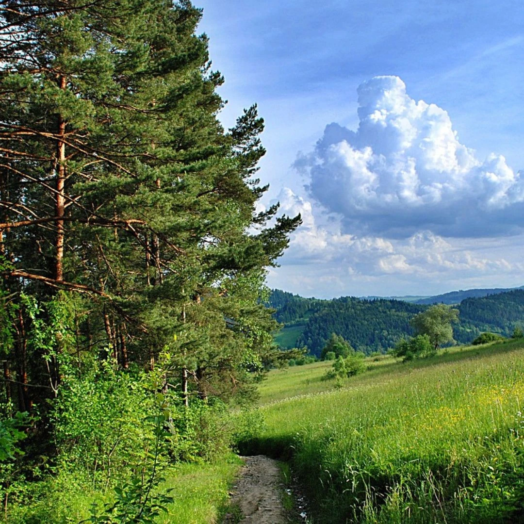 Wyrusz z nami na Mały Szlak Beskidzki - relacja z MSB cz. 1