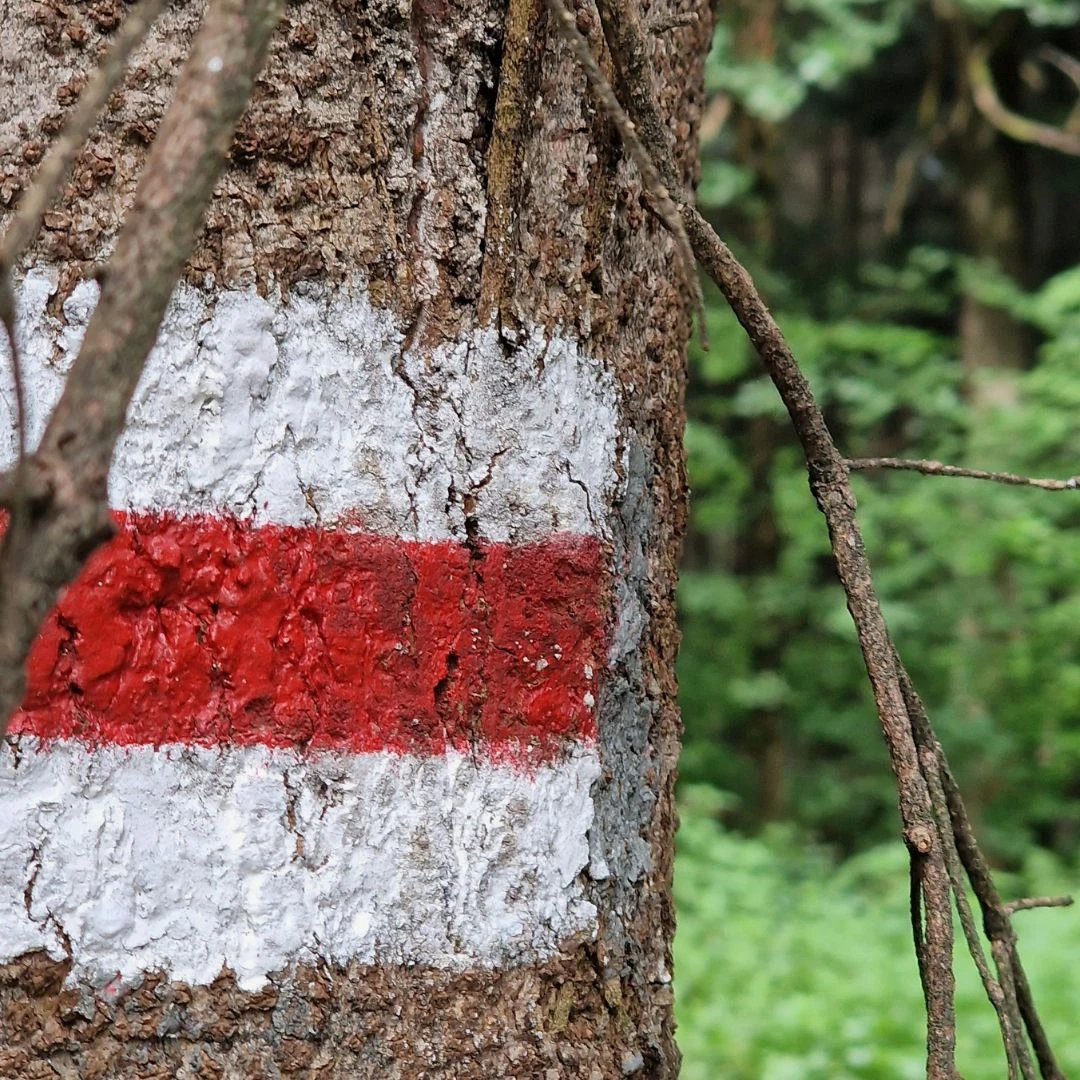 Kolory polskich szlaków górskich - co tak naprawdę oznaczają?