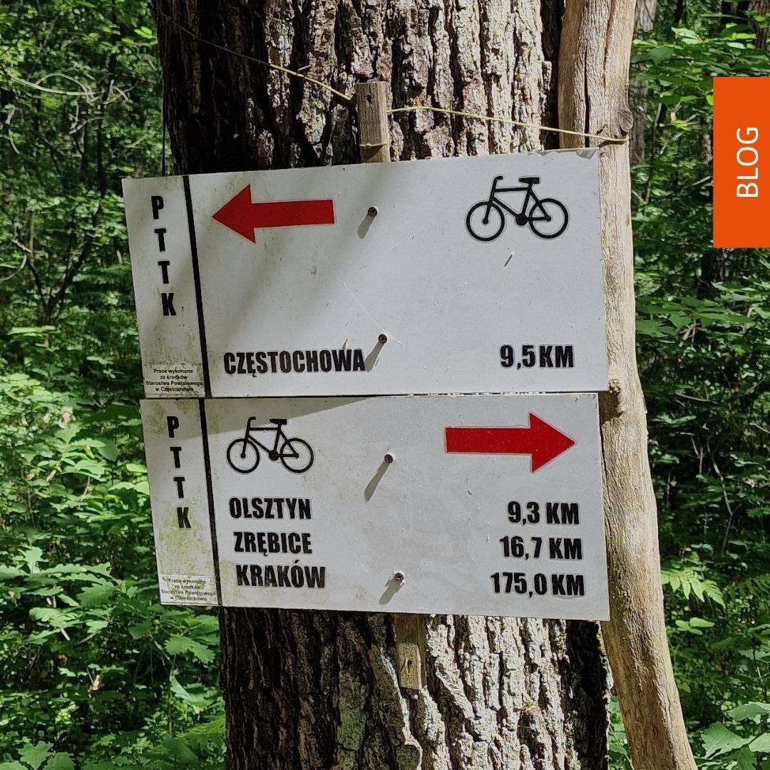 Bikepacking po Jurze Krakowsko-Częstochowskiej – 260 km szutrami i skałami [relacja + ślad GPX]