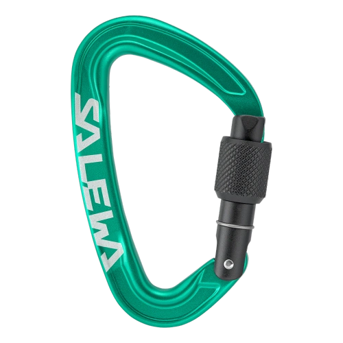 Karabinek wspinaczkowy Salewa Ortles Screw Carabiner - irish green