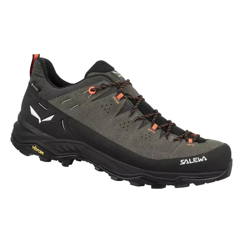 Buty męskie Salewa ALP TRAINER 2 GTX M - Bungee Cord