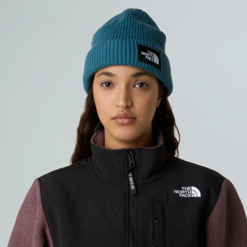 Czapka zimowa The North Face SALTY LINED BEANIE - space