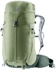 Zielony