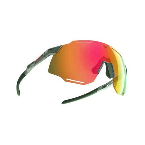 Sportowe Okulary Dynafit Alpine Evo Sunglasses - sage / thyme cat 3