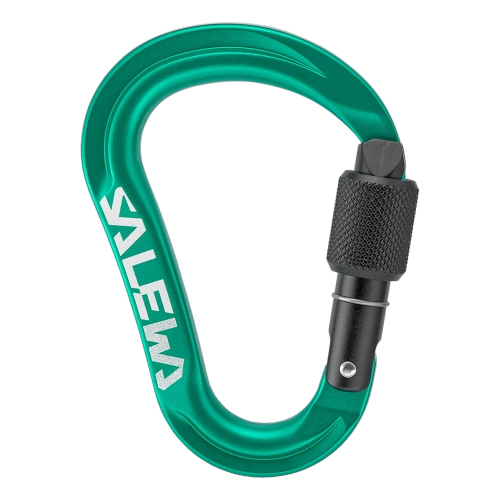 Karabinek wspinaczkowy HMS Salewa Ortles Hms S Carabiner - irish green