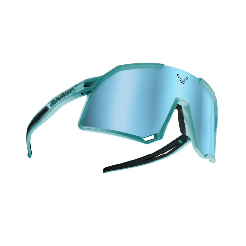 Okulary do Biegania Dynafit Trail Evo Sunglasses - marine blue/blueberry cat 3