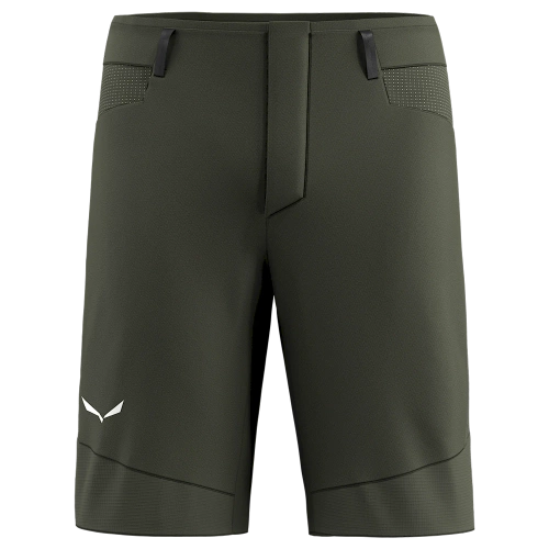Męskie spodenki górskie Salewa Agner DST M Shorts. - dark olive