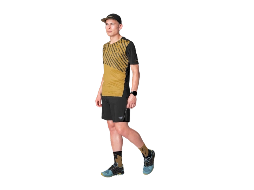 Męska Koszulka Biegowa Dynafit Alpine 2 S/S Tee M - tobacco/0910