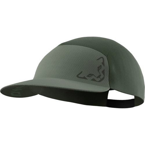 Czapka z daszkiem Dynafit Alpine Visor Cap - sage
