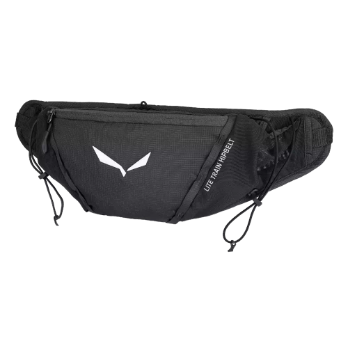 Saszetka Biodrowa Salewa Lite Train Hipbelt - black